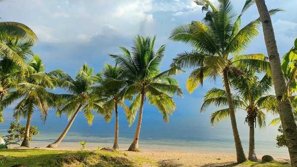 How Can UK Cruise Tourism Improve Environmental Sustainability?