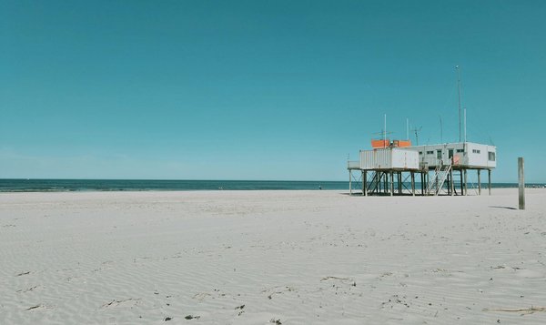 What Are the Best UK Gardens to Visit for Nature Enthusiasts?